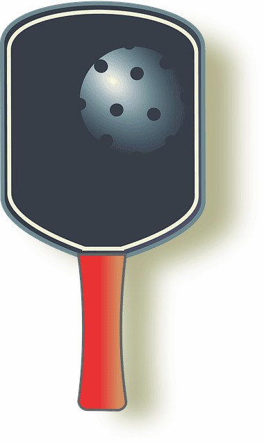 pickleball, sport, paddle, how to play pickleball